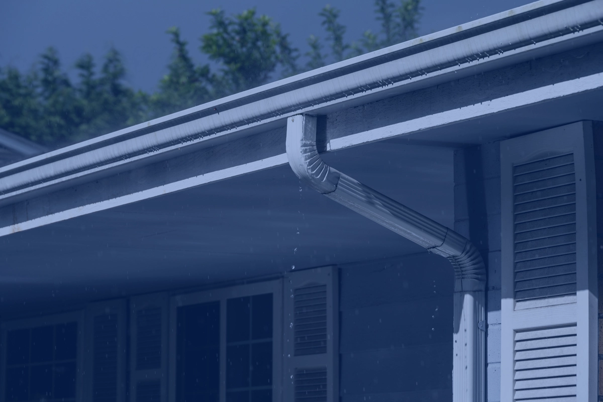 Image hover effect image