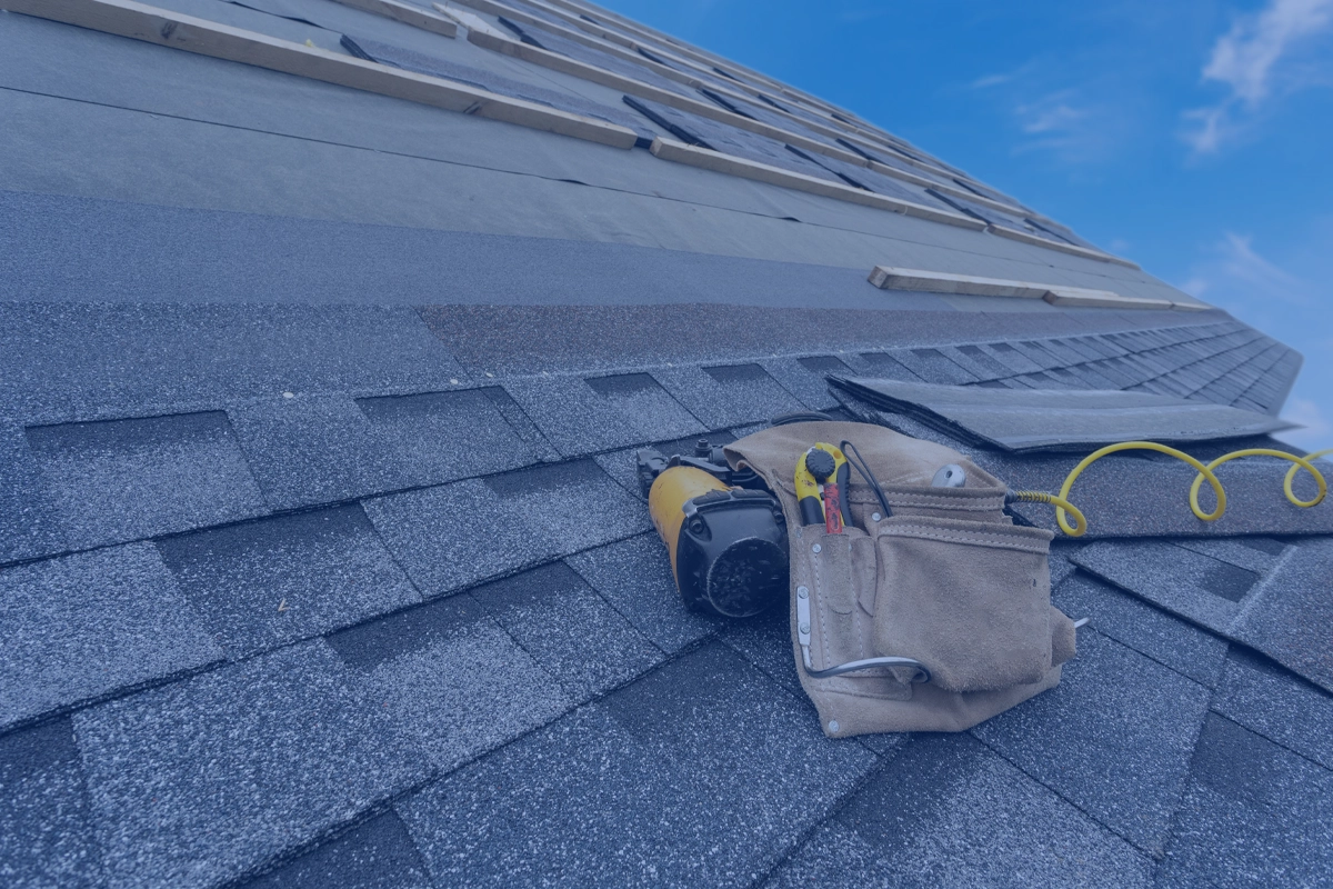 Image hover effect image